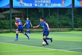 荷兰队以五比一战胜瑞典队精彩回顾